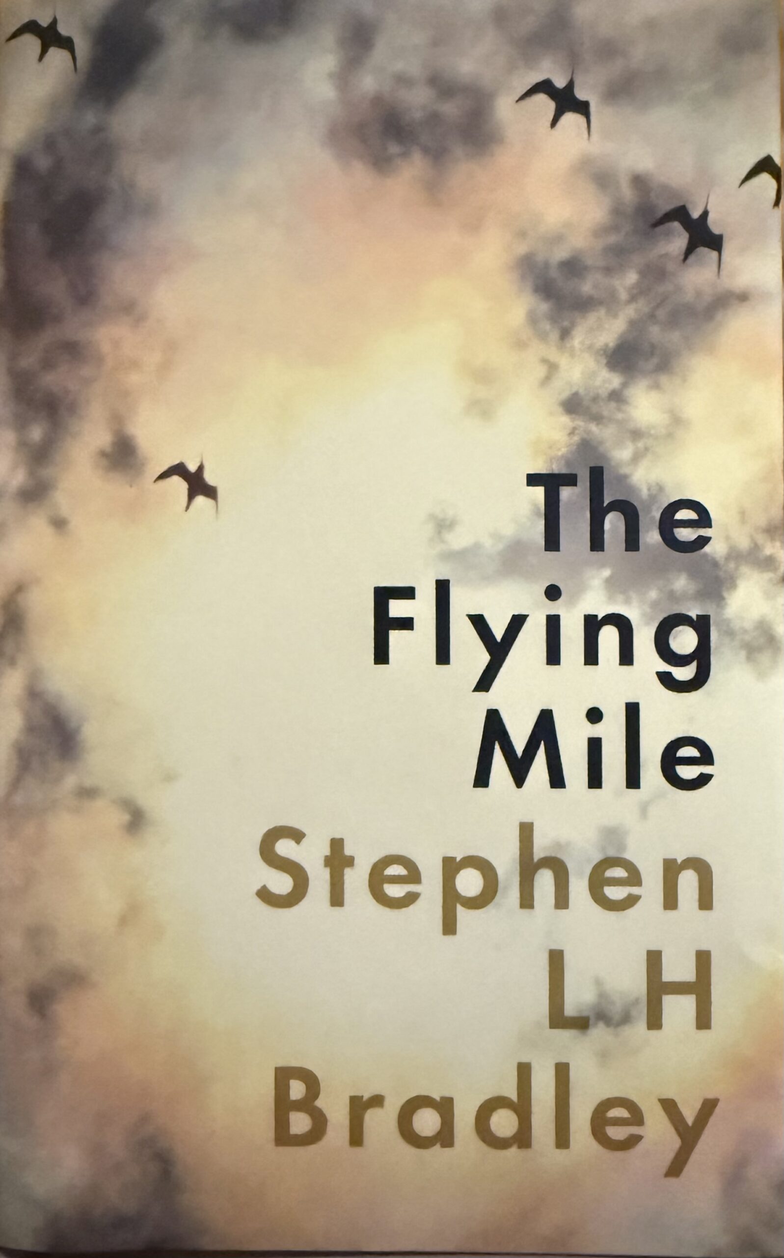 The Flying Mile Book Cover