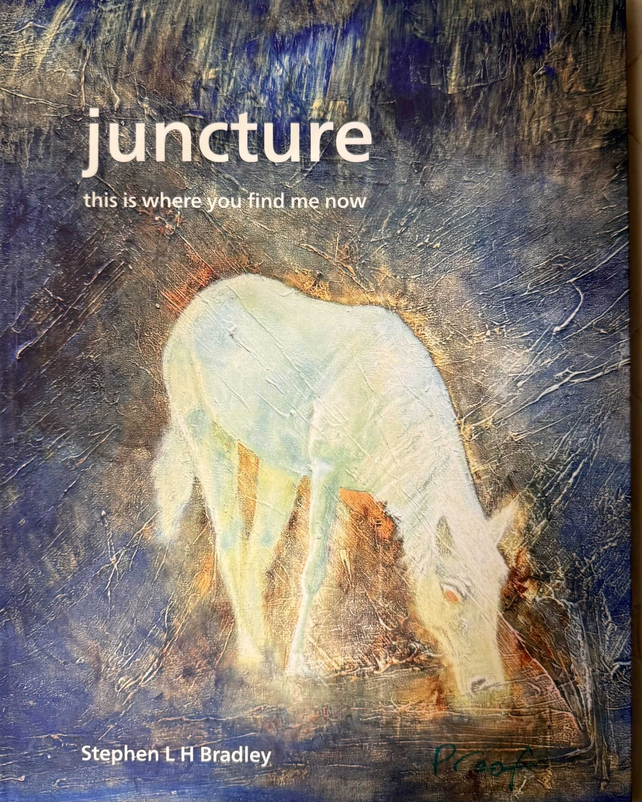 juncture catalogue Cover
